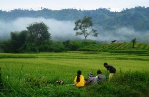 Kể chuyện ăn trộm của đứa trẻ hư hỏng 9 truyen tuoi tho mot dua tre vua chay tron khoi toi