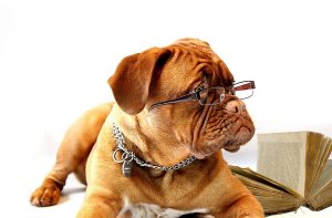 Viết Sách Điện Tử (Ebook): 3 Bước Chuẩn Bị Vô Cùng Quan Trọng 2 viet sach ebook can lam 3 viec
