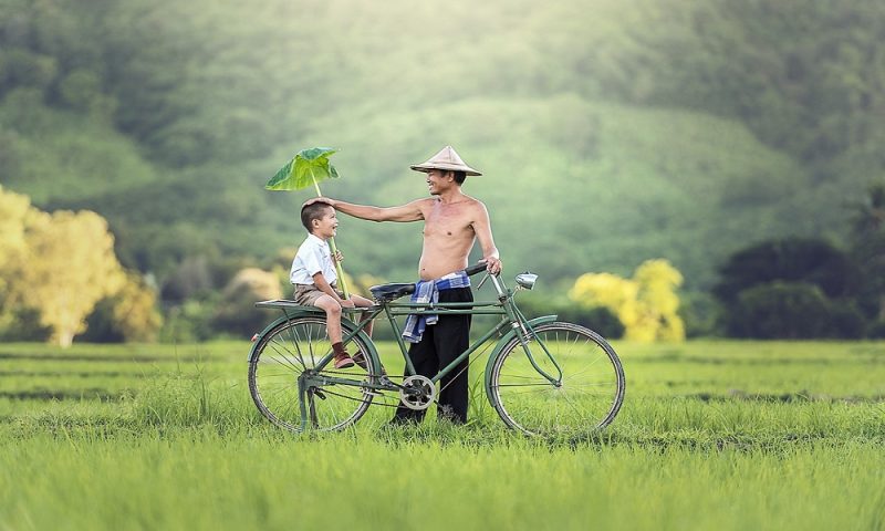 Câu chuyện tình thương cảm động: cau chuyen tinh thuong cam dong cha gia trong nha cho con di du lich 2