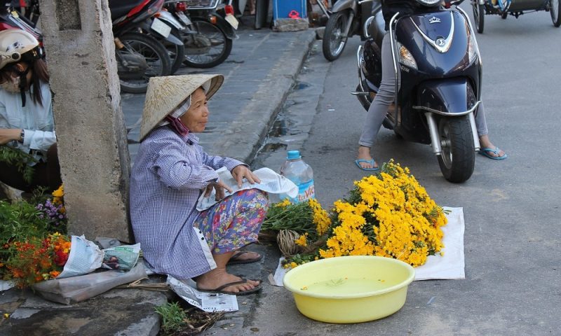 chuyen mua ca phong sinh ke chuyen cuoc song tham thuy 1