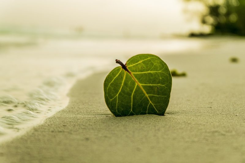 Kể chuyện cuộc sống: beach 394503 1280