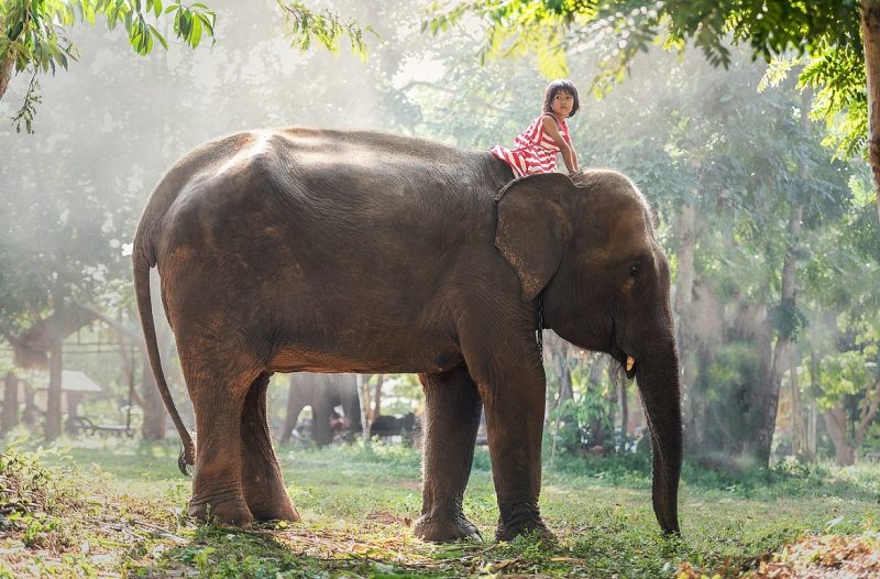 Truyện hay về tuổi thơ khiến bạn nhận ra đã may mắn hơn rất nhiều người 1 truyen hay ve tuoi tho 2