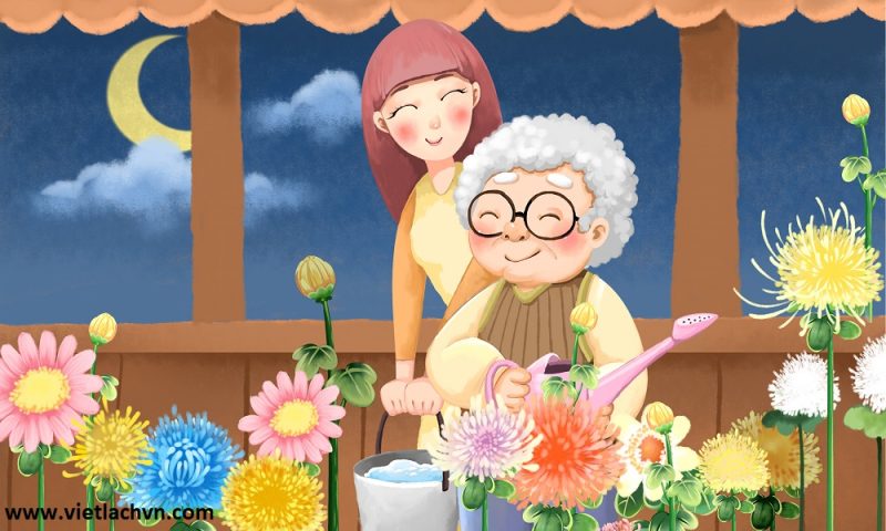 Câu Chuyện Cuộc Sống Ý Nghĩa: chuyện tình cảm gia đình xúc động