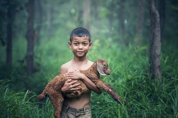 Chuyện Cuộc Sống Cực Ngắn Với Nhiều Bài Học Ý Nghĩa Thực Tế 1 câu chuyện cuộc sống