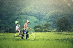 chuyện gia đình