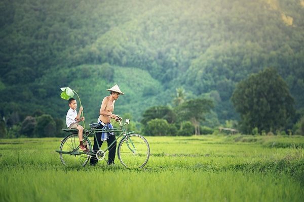chuyện gia đình