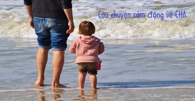Câu Chuyện Về Cha Cảm Động: câu chuyện về cha cảm động