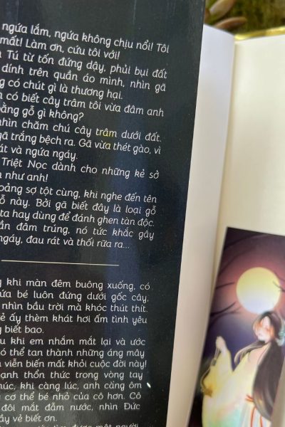 Tiểu Thuyết Tình Cảm Việt Nam Hay Nhất Tiên Mắc Đọa Nguyễn Nga 10 5 5